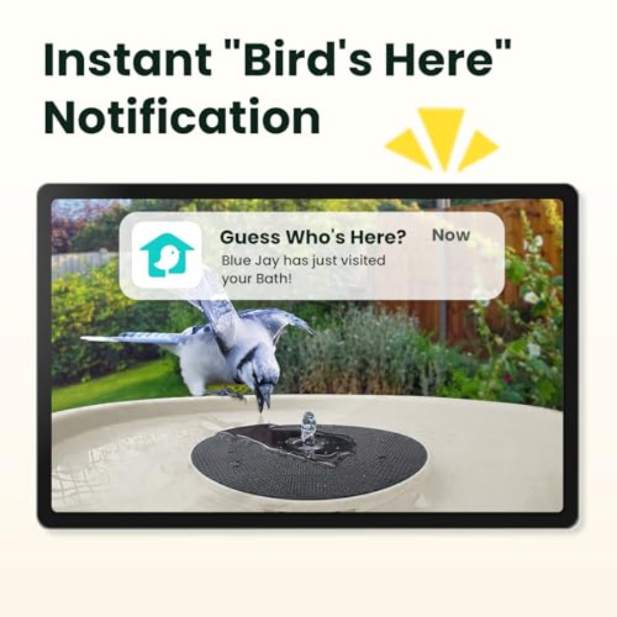 Bird Watching Smart Bird Bath  - đánh giá và giá Smartwatch