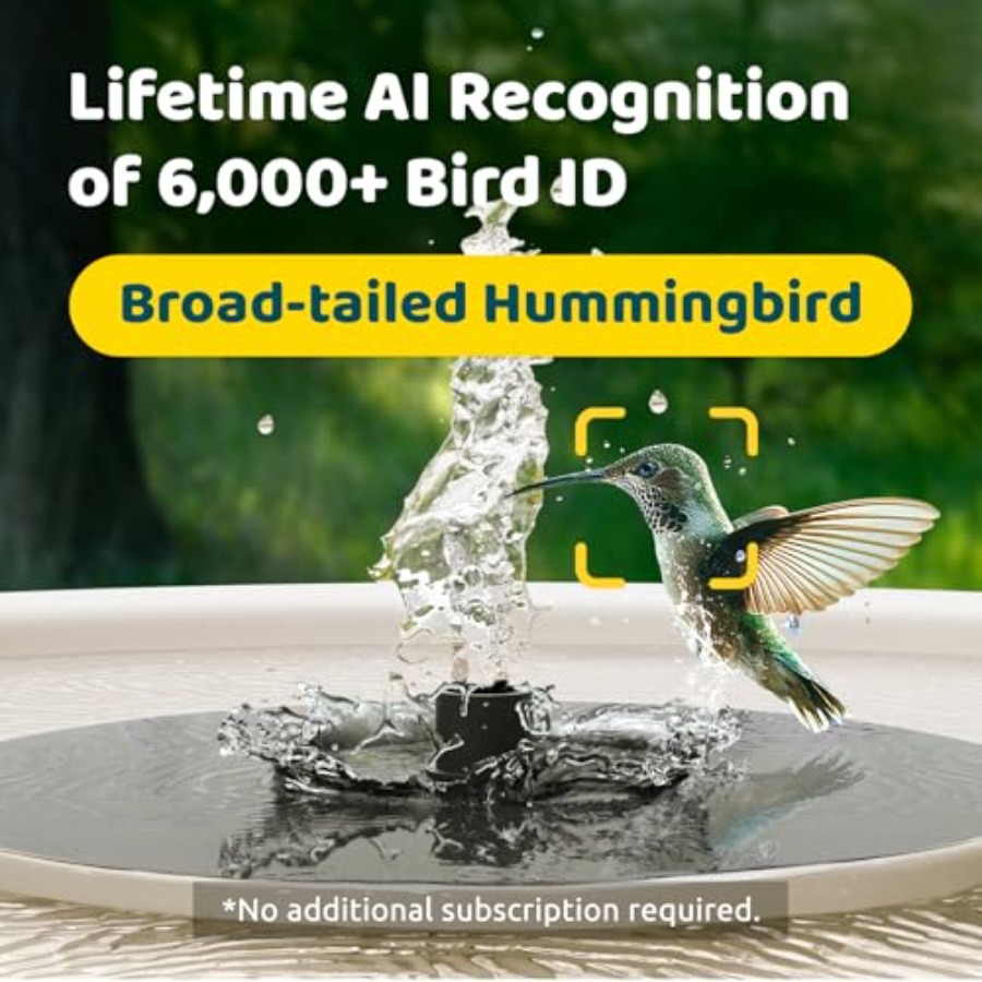 Bird Watching Smart Bird Bath  - đánh giá và giá Smartwatch